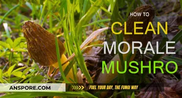 The Ultimate Guide to Cleaning Morale Mushrooms