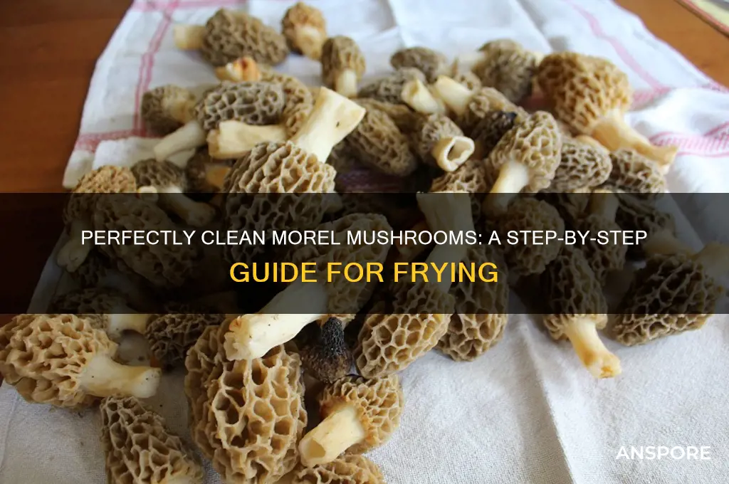 how to clean morel mushrooms for frying