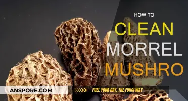 Cleaning Morrel Mushrooms: A Step-by-Step Guide