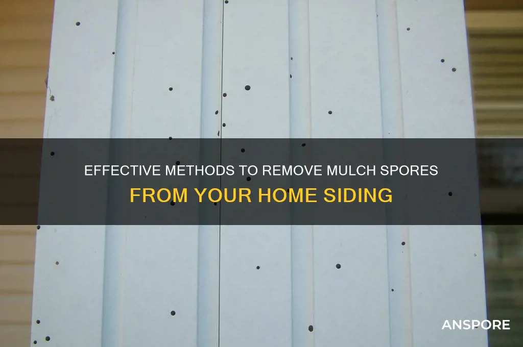 how to clean mulch spores from siding
