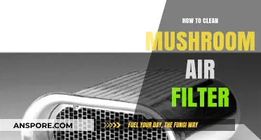 Effective Steps to Clean Your Mushroom Air Filter Easily