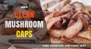 Effective Ways to Clean Mushroom Caps at Home