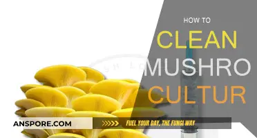 The Ultimate Guide: Cleaning Mushroom Cultures