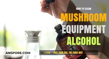 Effective Cleaning Tips for Mushroom Equipment Using Alcohol