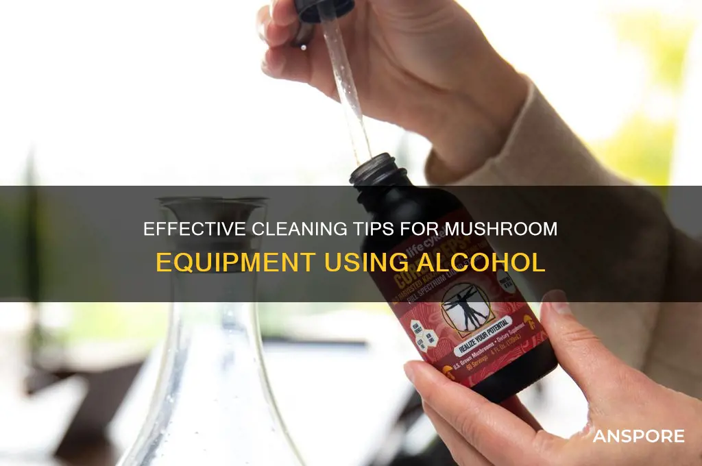 how to clean mushroom equipment alcohol
