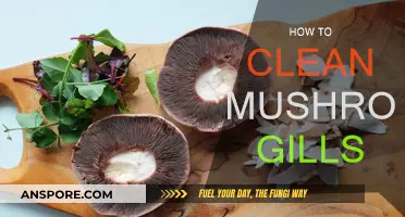 Cleaning Mushroom Gills: Easy Steps for Beginners