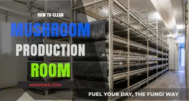 Effective Cleaning Tips for Your Mushroom Production Room