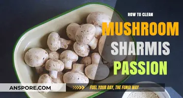 Effective Cleaning Tips for Mushroom Sharmis Passion: A Step-by-Step Guide
