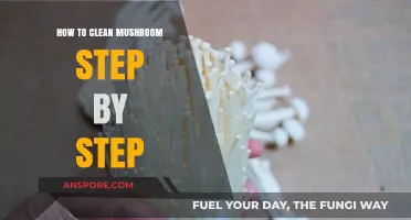 Mastering Mushroom Cleaning: A Simple Step-by-Step Guide for Freshness