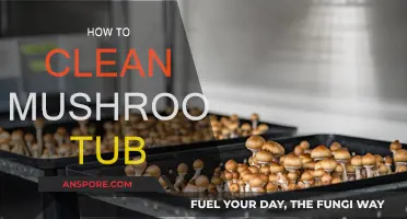 The Ultimate Guide to Cleaning Your Mushroom Tub