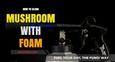 Effective Foam Cleaning Techniques for Fresh, Spotless Mushrooms Every Time