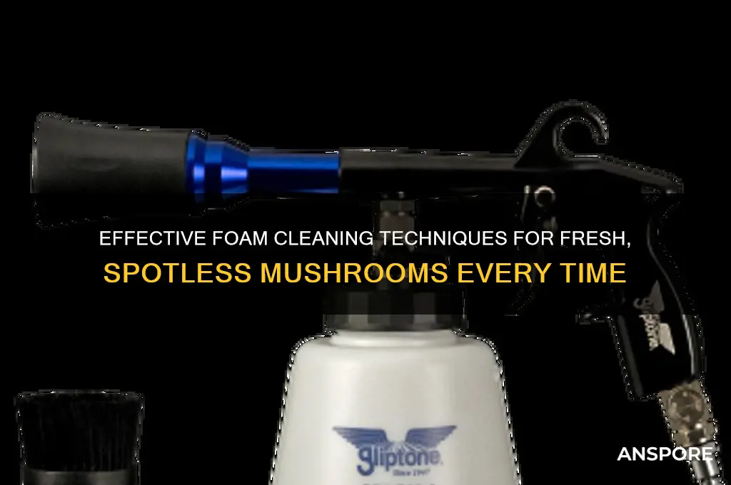 how to clean mushroom with foam