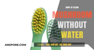 Efficiently Clean Mushrooms Without Water: A Quick and Easy Guide