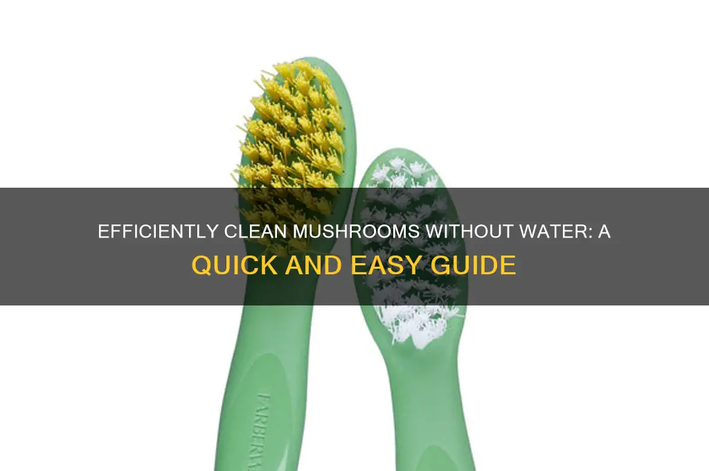 how to clean mushroom without water