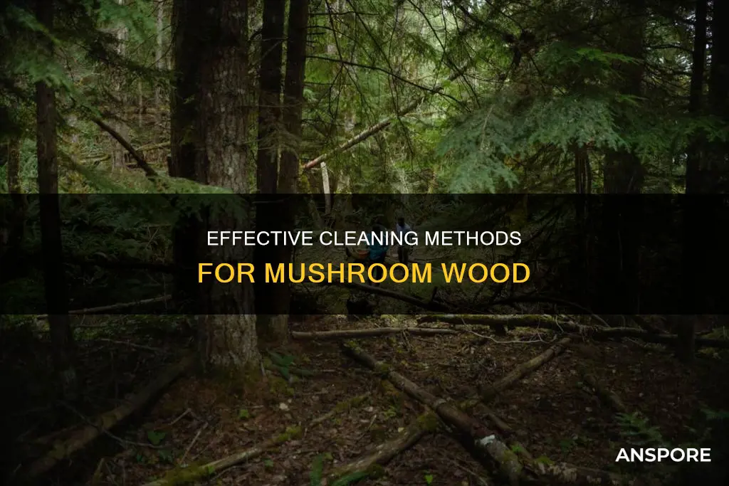 how to clean mushroom wood