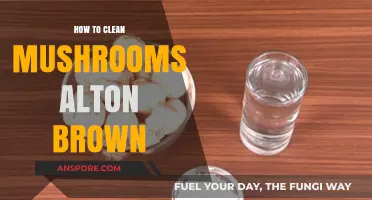 Alton Brown's Simple Method for Cleaning Mushrooms Perfectly Every Time