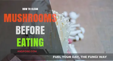 Mastering Mushroom Cleaning: Simple Steps for Safe and Delicious Preparation
