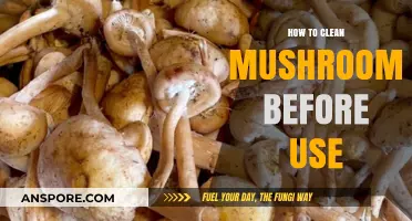 Mastering Mushroom Prep: Simple Steps to Clean Mushrooms Perfectly