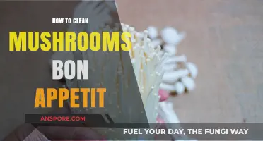 Mastering Mushroom Cleaning: Bon Appétit’s Simple Step-by-Step Guide