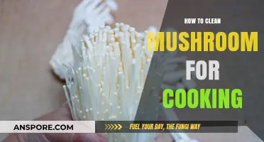 Mastering Mushroom Cleaning: Simple Steps for Perfectly Prepared Fungi