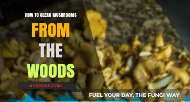 Foraging and Cleaning Wild Mushrooms: A Step-by-Step Guide to Safe Preparation