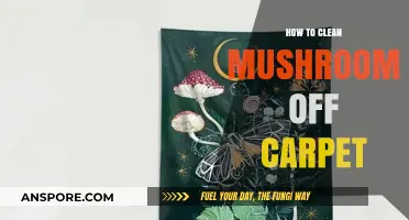 Effective Tips for Removing Mushroom Stains from Your Carpet