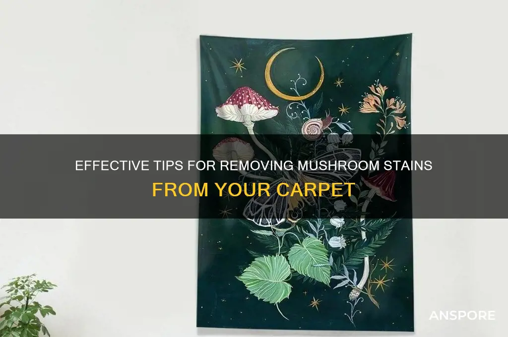 how to clean mushrooms off carpet