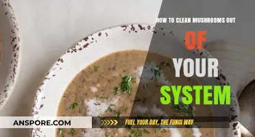 Effective Ways to Detox Mushrooms from Your System Quickly and Safely
