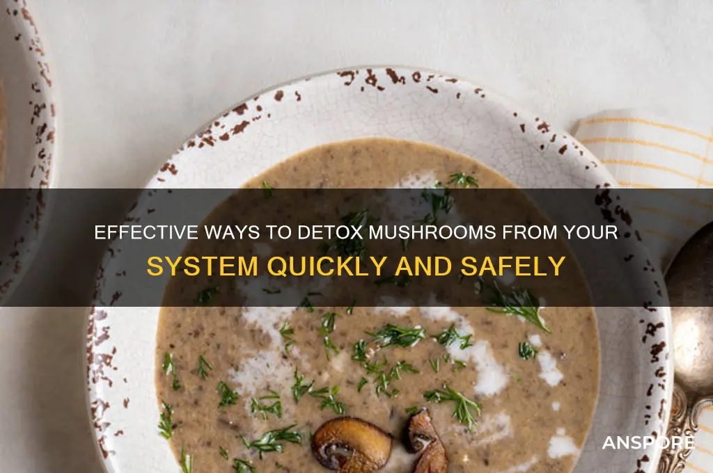 how to clean mushrooms out of your system