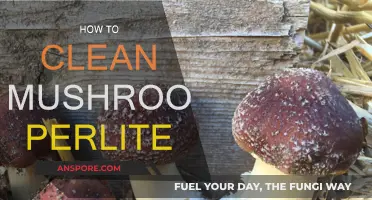Efficiently Cleaning Mushrooms: Perlite's Power