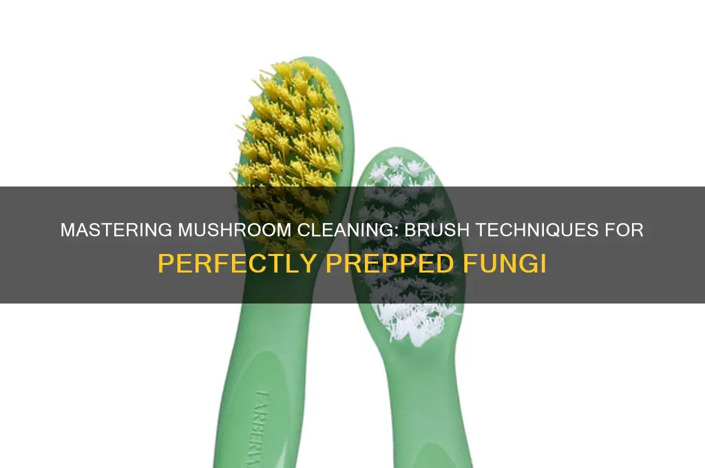 how to clean mushrooms with a brush