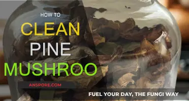 Cleaning Pine Mushrooms: A Step-by-Step Guide