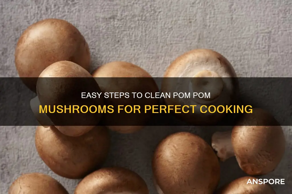 how to clean pom pom mushroom