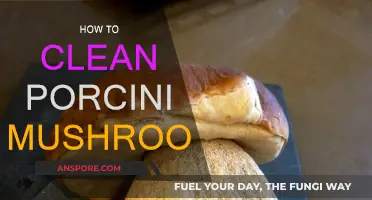 Cleaning Porcini Mushrooms: A Step-by-Step Guide