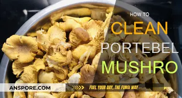 Cleaning Portobello Mushrooms: A Step-by-Step Guide