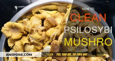 The Ultimate Guide to Cleaning Psilocybin Mushrooms