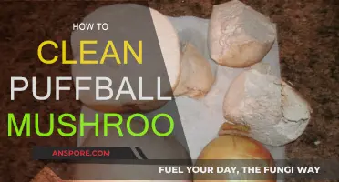 Cleaning Puffball Mushrooms: A Step-by-Step Guide