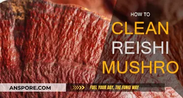 The Ultimate Guide to Cleaning Reishi Mushrooms