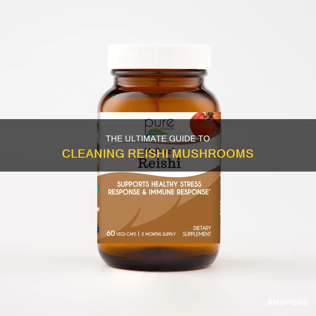how to clean reishi mushrooms