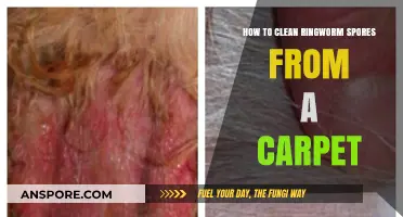 Effective Carpet Cleaning Tips to Eliminate Ringworm Spores Safely