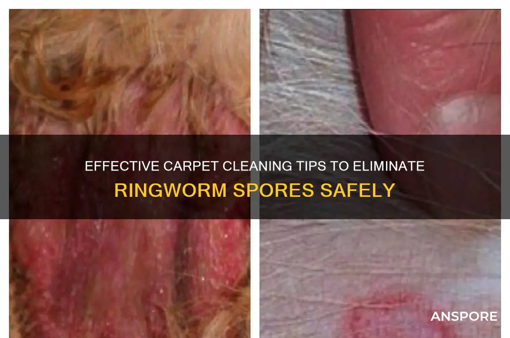 how to clean ringworm spores from a carpet