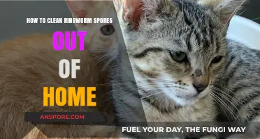 Effective Ways to Eliminate Ringworm Spores from Your Home