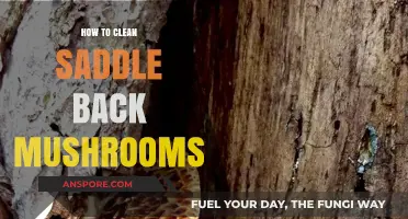 Mastering Saddleback Mushroom Cleaning: A Step-by-Step Guide for Freshness