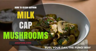 Cleaning Saffron Milk Cap Mushrooms: A Simple Step-by-Step Guide