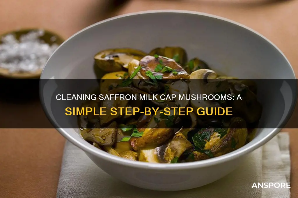 how to clean saffron milk cap mushrooms