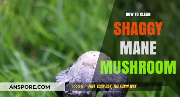 Effective Shaggy Mane Mushroom Cleaning: Simple Steps for Freshness and Flavor