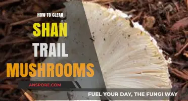 Effective Techniques for Cleaning Shan Trail Mushrooms: A Step-by-Step Guide