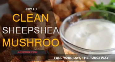 Cleaning Sheepshead Mushrooms: A Step-by-Step Guide