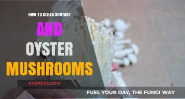 Mastering Mushroom Cleaning: A Guide to Shiitake and Oyster Care