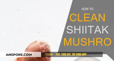 The Ultimate Guide to Cleaning Shiitake Mushrooms